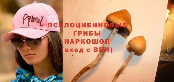 ECSTASY Киселёвск
