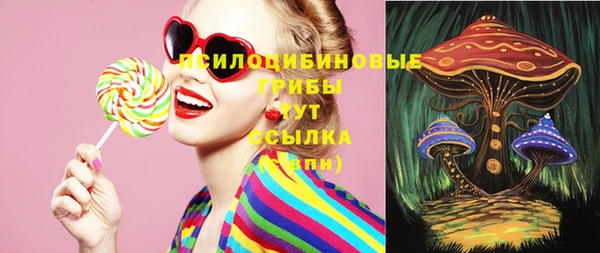 винт Осинники