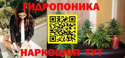 СК Гусев