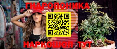 наркотики Дубна