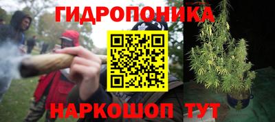 СК Гусев
