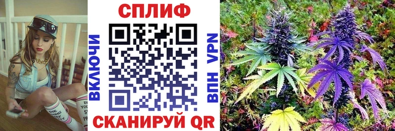 Канабис семена  сколько стоит  Соликамск 